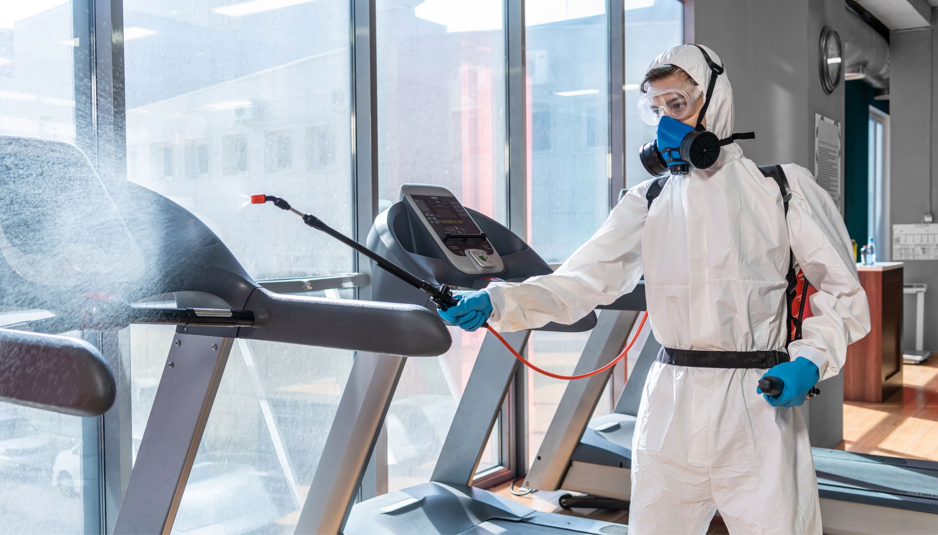 Commercial Mold Removal Services in Lakewood