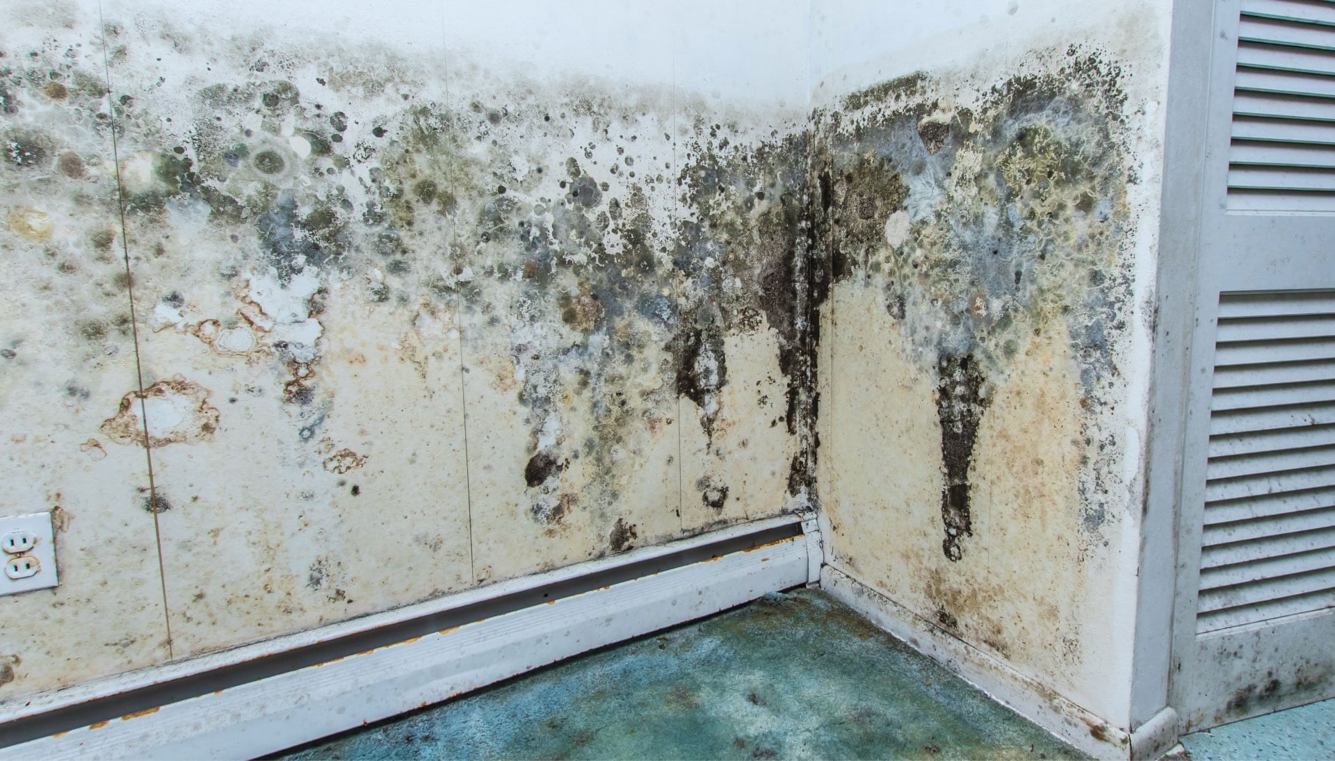 Mold Damage Odor Control Services in Lakewood
