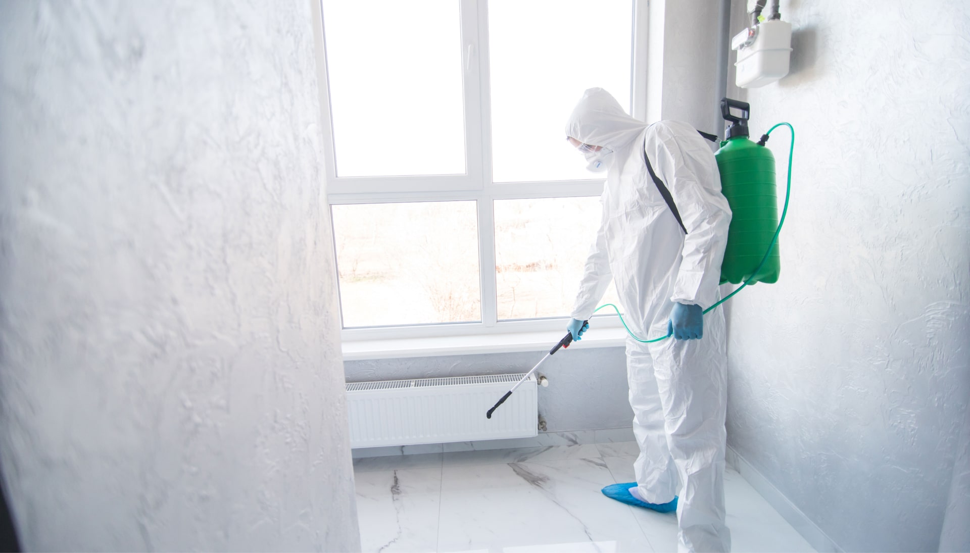Mold Inspection Services in Lakewood